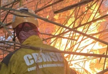 Incêndio atinge área do Parque Estadual Rio Canoas em Campos Novos