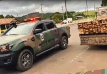 Carga de madeira ilegal é apreendida em Lebon Régis