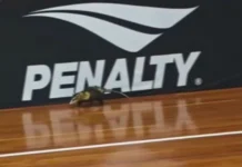 Gambá invade quadra e paralisa jogo da Supercopa de Futsal