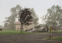 Videira realiza 2º Simulado de Desastres Naturais neste domingo