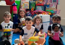 CEMEIs de Videira recebem mais de 3 mil brinquedos pedagógicos