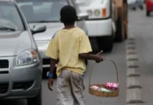 SC é o 5º estado com mais denúncias de trabalho infantil no Brasil