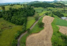 Em visita ao Meio-Oeste, governador anuncia pavimentação de estradas do interior