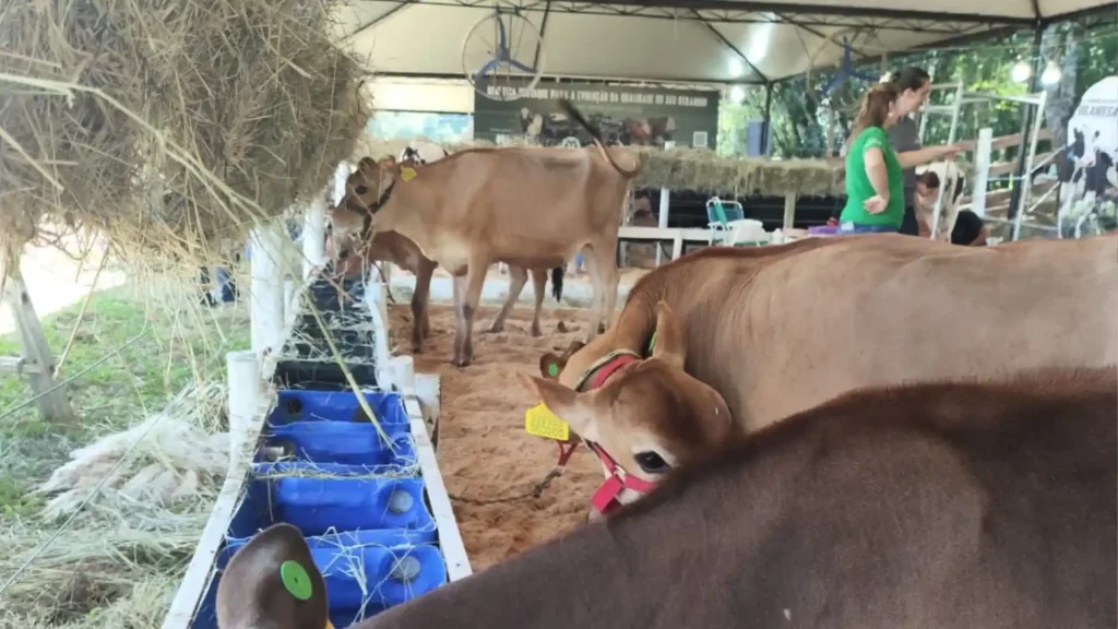 Secretário destaca programas de apoio ao produtor durante Campo Demonstrativo