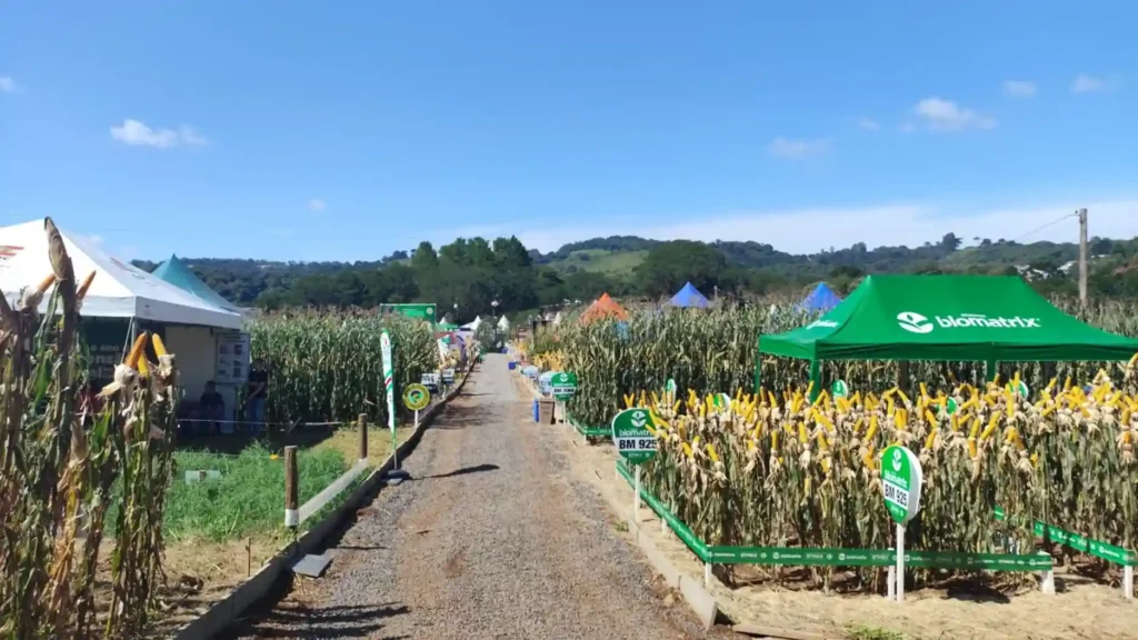 Secretário destaca programas de apoio ao produtor durante Campo Demonstrativo