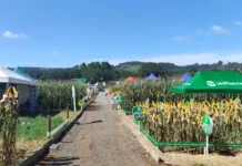 Secretário destaca programas de apoio ao produtor durante Campo Demonstrativo