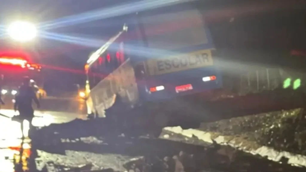 Árvore caída sobre a pista causa acidente com micro-ônibus escolar