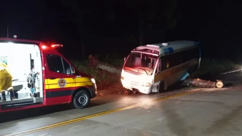 Árvore caída sobre a pista causa acidente com micro-ônibus escolar