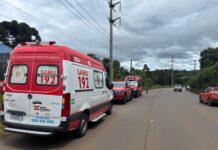 Homem é socorrido após sofrer mais de 100 picadas de abelhas