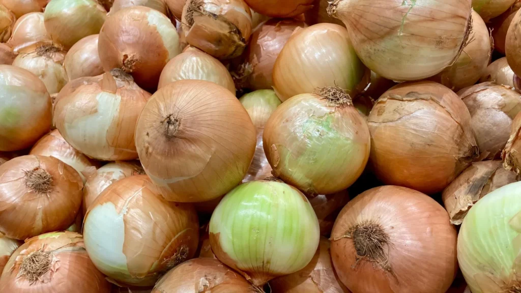 Queda no preço da cebola faz municípios de SC decretarem emergência