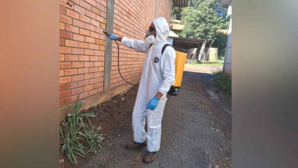 Salto Veloso registra 12 focos do mosquito Aedes aegypti