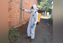 Salto Veloso registra 12 focos do mosquito Aedes aegypti Salto Veloso registra 12 focos do mosquito Aedes aegypti