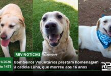 RBV Notícias Caçanjurê – 29/01/2026 – Edição 1475