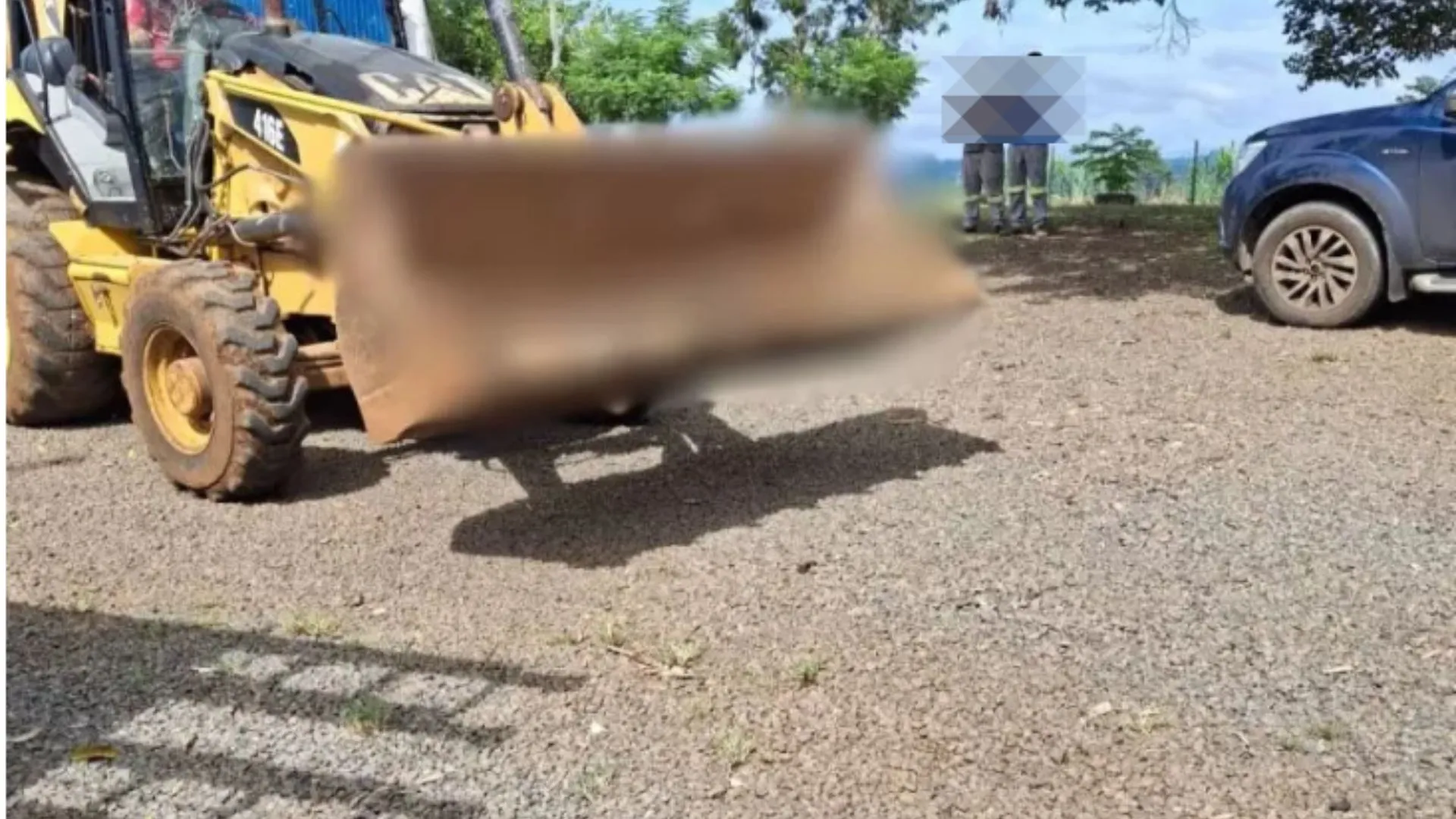 Morte de cães em Herval d’Oeste é analisada sob segredo de justiça