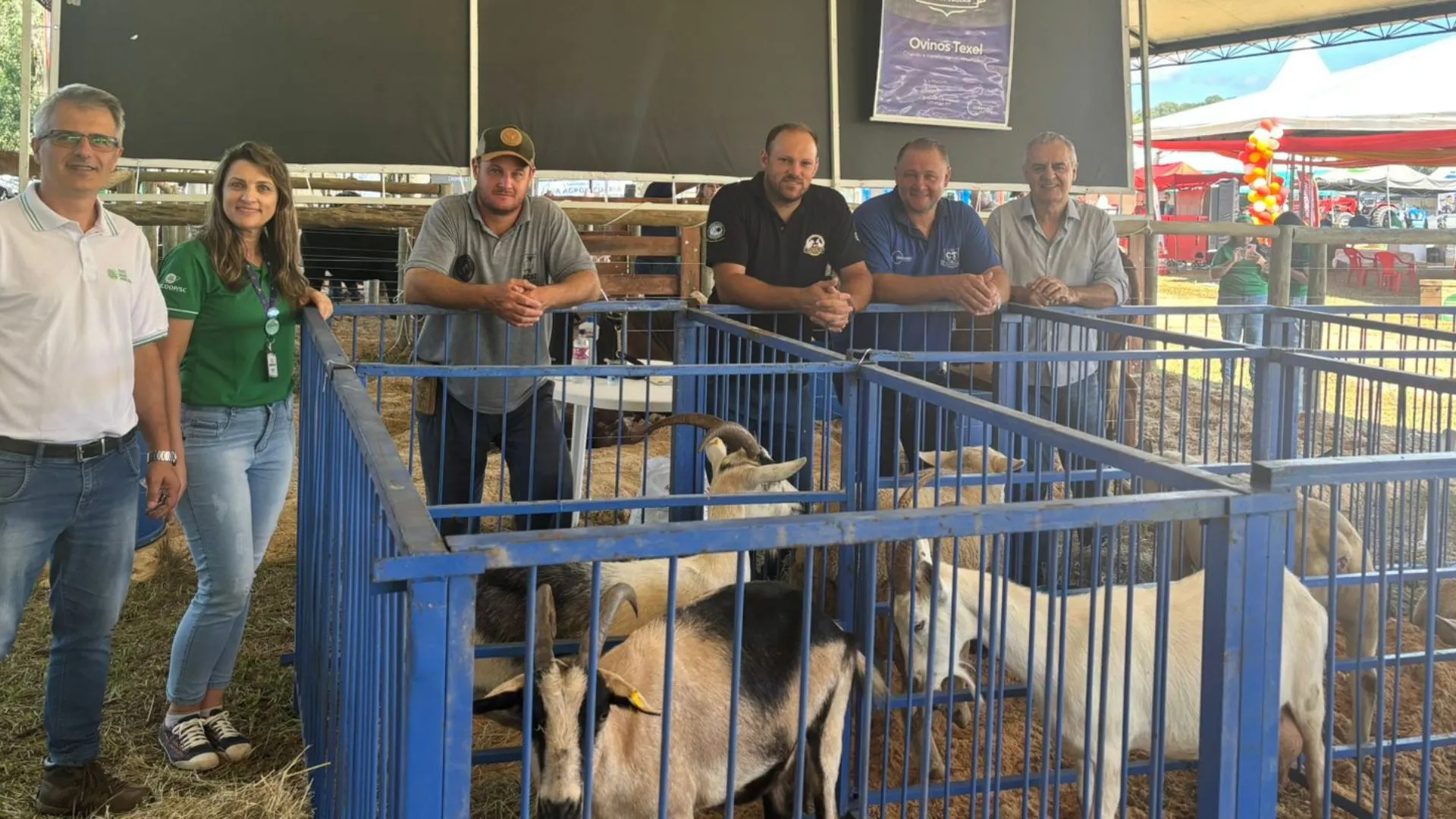 Sebrae/SC fortalece ovinocultura durante evento em Videira