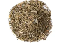 Fiocruz lança fitoterápico de quebra-pedra pelo SUS