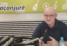 Queda do tarifaço anima indústria florestal de SC