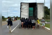PRF flagra trabalhadores viajando em caminhão baú na BR-282