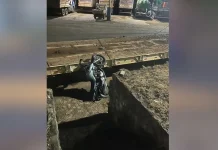 Motociclista despenca de rodovia e cai em pátio da Prefeitura de Caçador Motociclista despenca de rodovia e cai em pátio da Prefeitura de Caçador