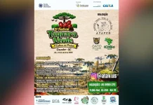 Tradição e história se encontram no 3º Festival de Taquara Verde Tradição e história se encontram no 3º Festival de Taquara Verde