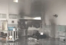 Grupo Mercosul solta nota oficial sobre incêndio em Videira