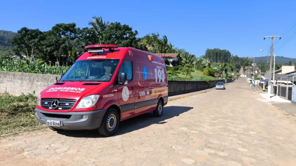 Ataque de abelhas mata idoso de 74 anos no quintal de casa