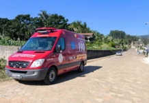 Ataque de abelhas mata idoso de 74 anos no quintal de casa