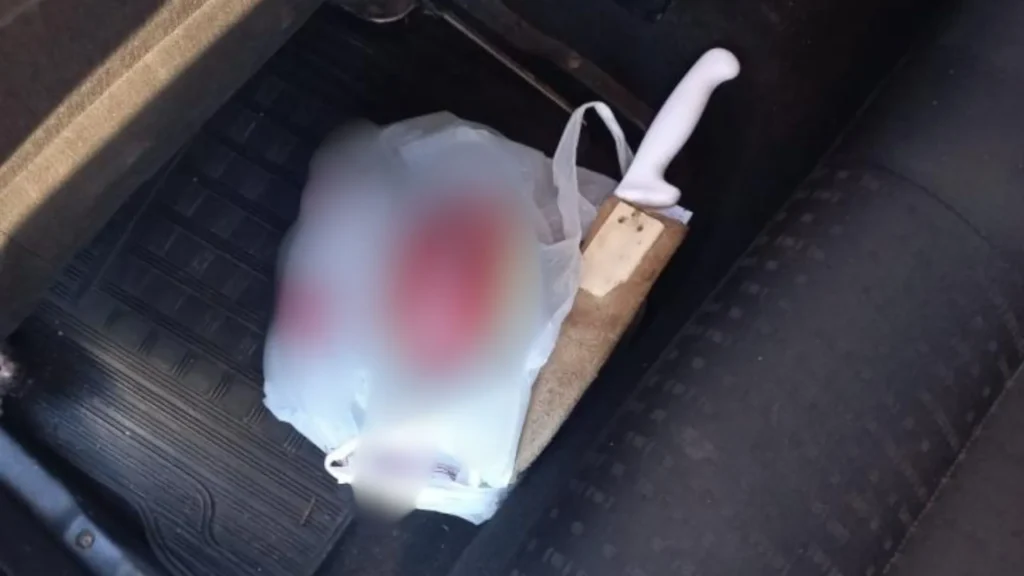 Discussão vira luta e termina em morte dentro de casa em Caçador