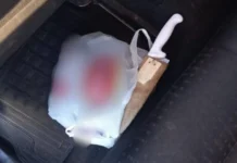 Discussão vira luta e termina em morte dentro de casa em Caçador