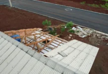 Ventos fortes causam estragos e atingem pelo menos 10 casas no Oeste de SC