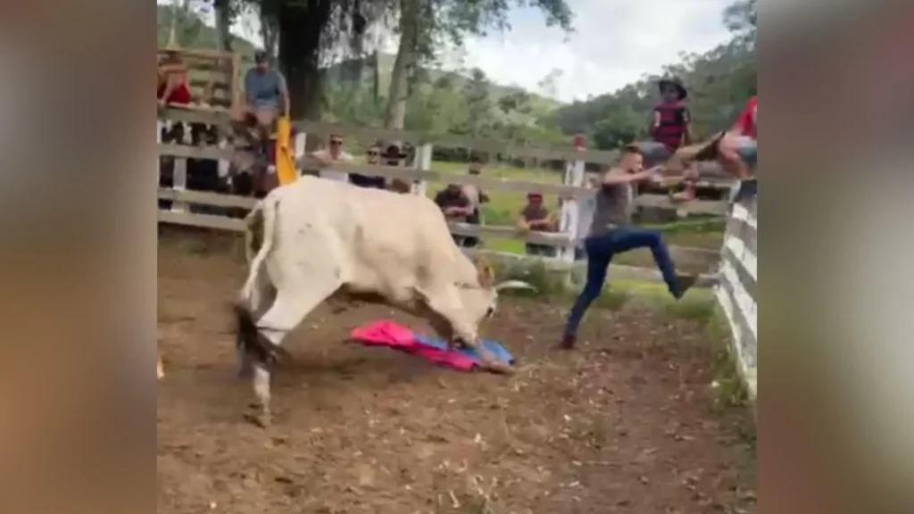 Esquema da Farra do Boi é desmantelado e 40 são indiciados