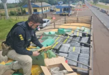 Caminhão com destino a Videira levava mais de 5 toneladas de drogas