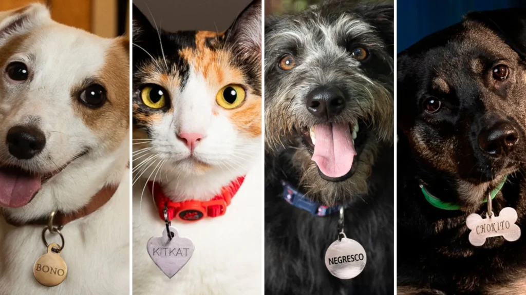 Nestlé dá vale-compras para pets com nomes de produtos famosos