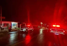 Ataque de pitbull deixa criança gravemente ferida; tutor é preso Ataque de pitbull deixa criança gravemente ferida; tutor é preso