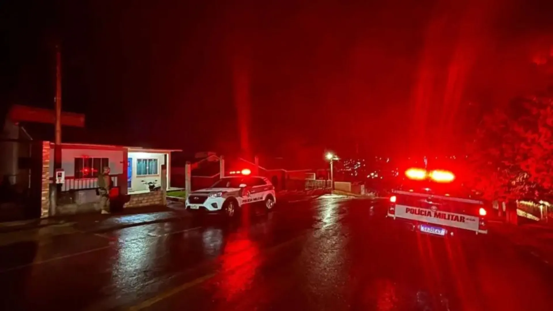 Ataque de pitbull deixa criança gravemente ferida; tutor é preso