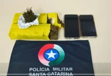 Barulho leva PM a descobrir mais de 1 kg de droga em Videira Barulho leva PM a descobrir mais de 1 kg de droga em Videira