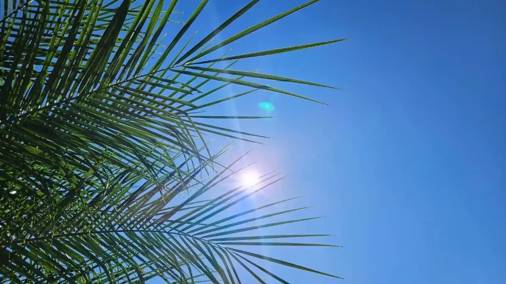 Temperaturas acima de 35°C seguem até segunda-feira (30) e acendem alerta à saúde