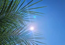 Temperaturas acima de 35°C seguem até segunda-feira (30) e acendem alerta à saúde Temperaturas acima de 35°C seguem até segunda-feira (30) e acendem alerta à saúde