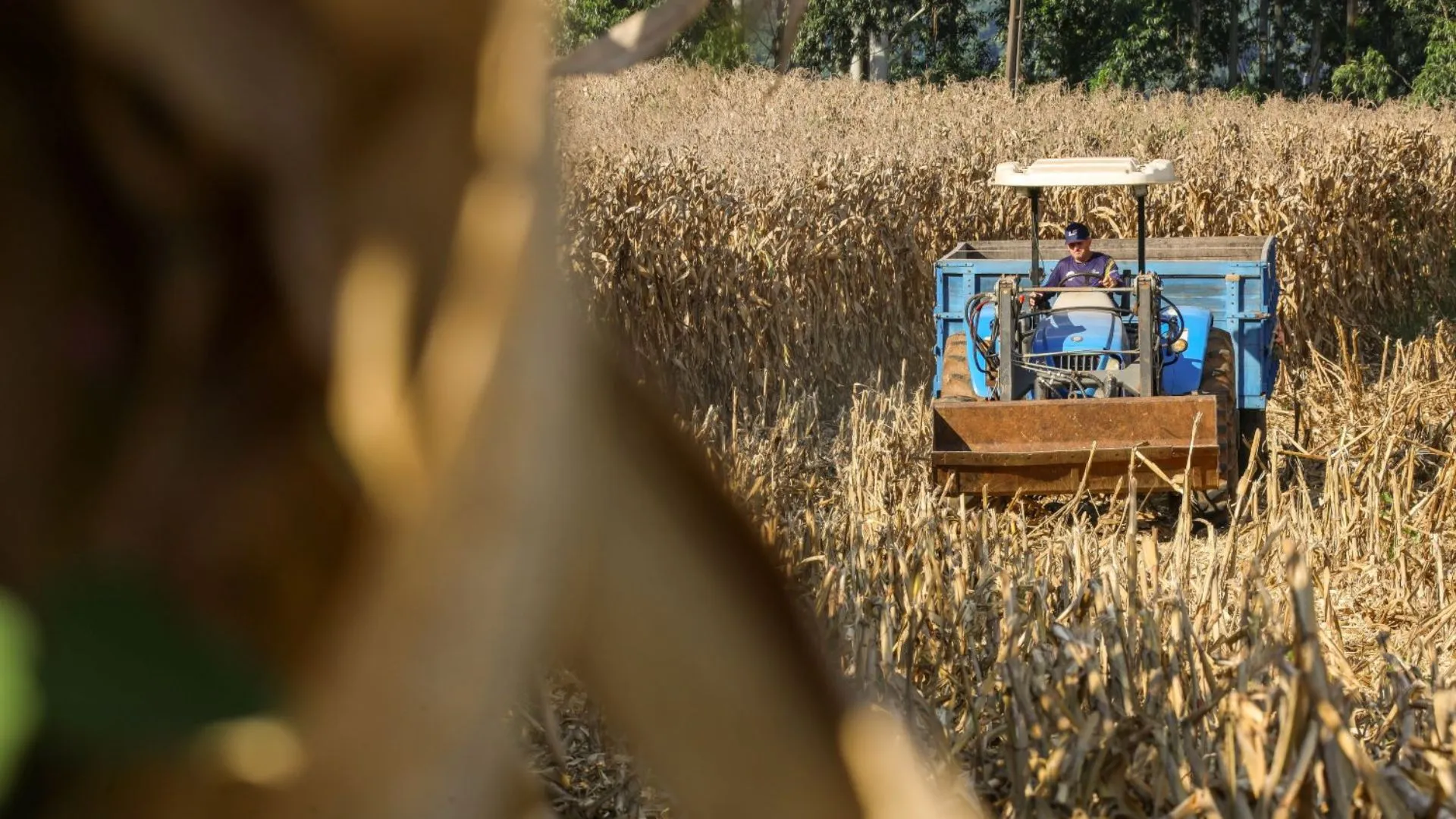Iomerê recebe encontro sobre El Niño e impactos na agricultura