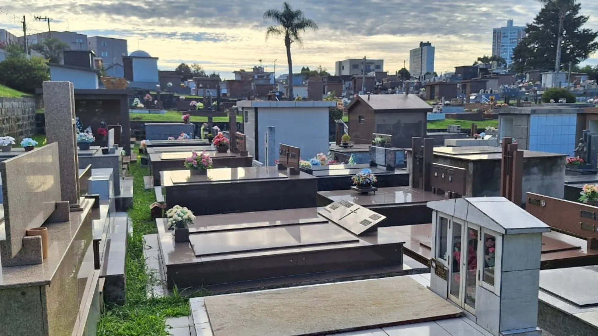 Cemitério Municipal de Caçador fechado para desinsetização