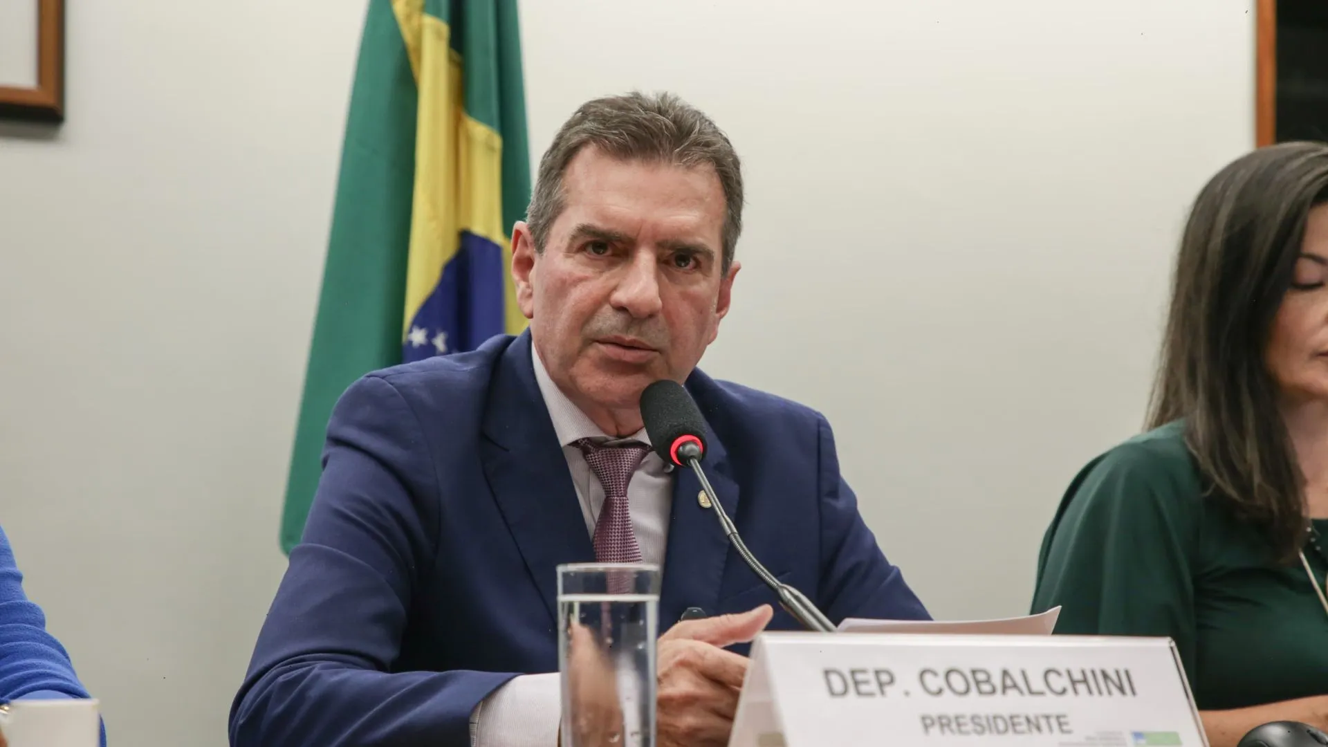 Cobalchini é eleito presidente da Comissão de Meio Ambiente