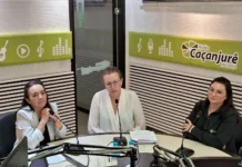 Entrega voluntária para adoção é direito garantido por lei