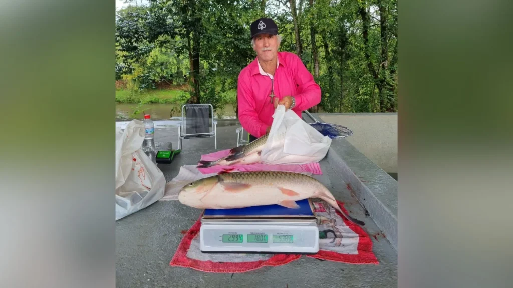 Feira do Produtor em Caçador já oferece peixe para Semana Santa
