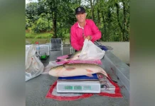Feira do Produtor em Caçador já oferece peixe para Semana Santa Feira do Produtor em Caçador já oferece peixe para Semana Santa