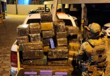 PRF apreende quase 1 tonelada de maconha no Meio-Oeste PRF apreende quase 1 tonelada de maconha no Meio-Oeste