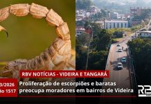 RBV Notícias Videira e Tangará – 30/03/2026 – Edição 1517 RBV Notícias Videira e Tangará – 30/03/2026 – Edição 1517