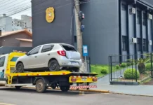 Polícia apreende cerca de 30 kg de maconha em Caçador