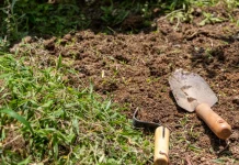 Morador vai fazer horta em casa e encontra caixão com ossada no quintal Morador vai fazer horta em casa e encontra caixão com ossada no quintal