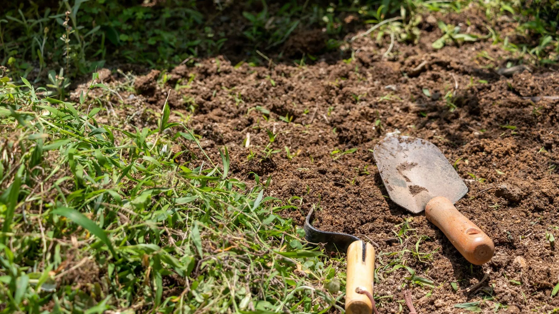 Morador vai fazer horta em casa e encontra caixão com ossada no quintal