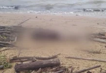 Sequência de crimes deixa 5 mortos em um dia na Grande Florianópolis Sequência de crimes deixa 5 mortos em um dia na Grande Florianópolis